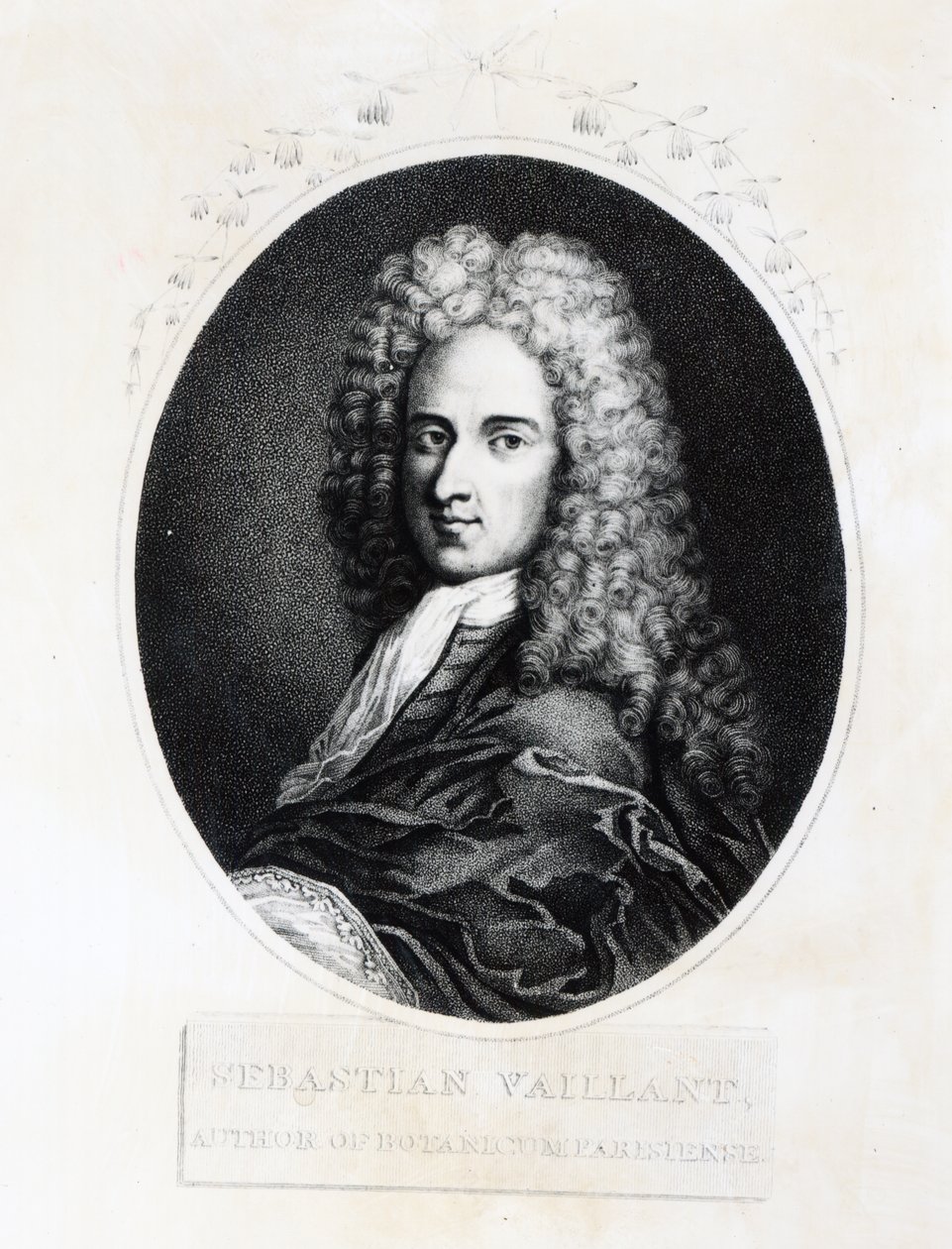 Sébastien Vaillant - French School