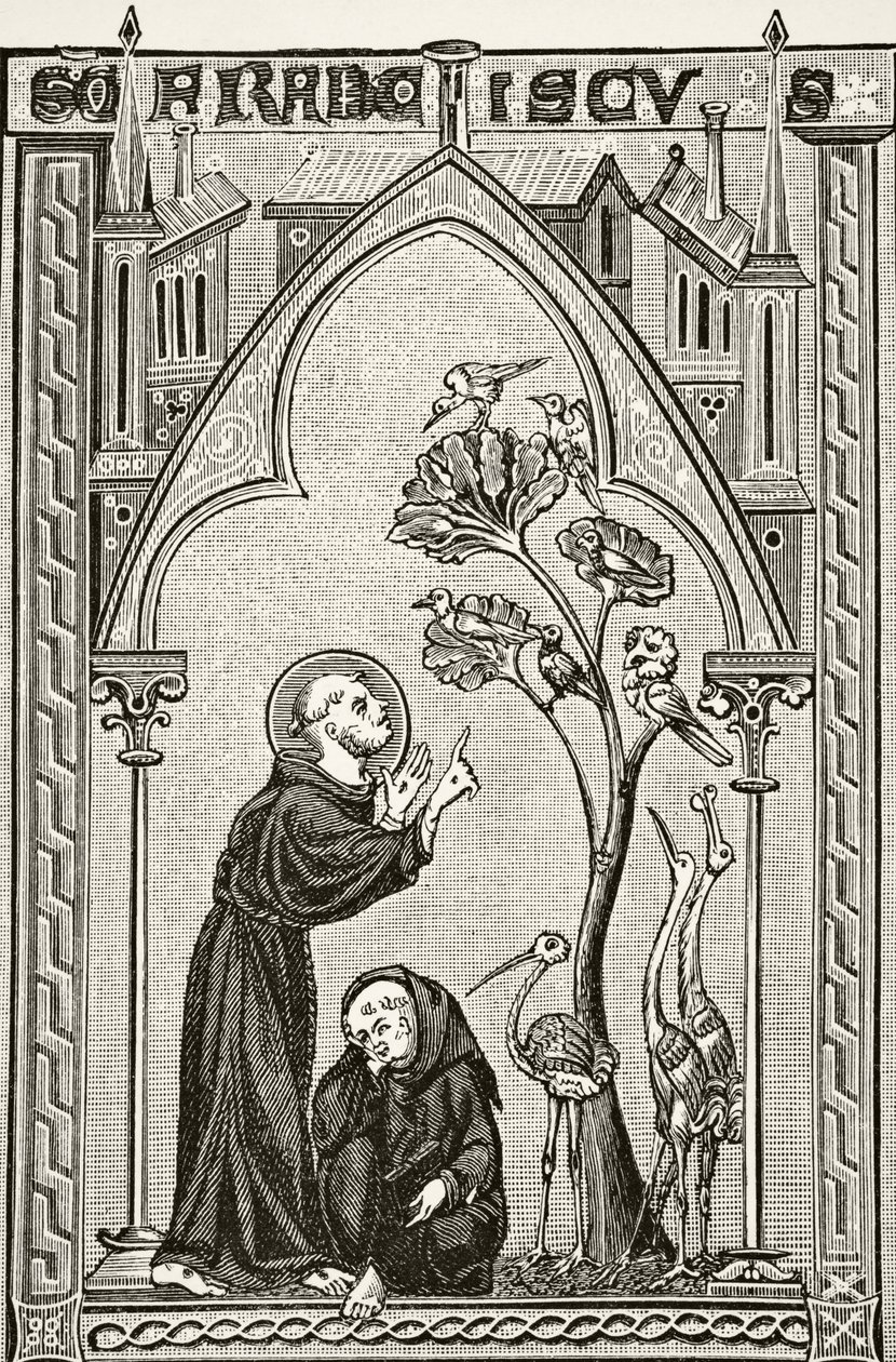 Saint François d