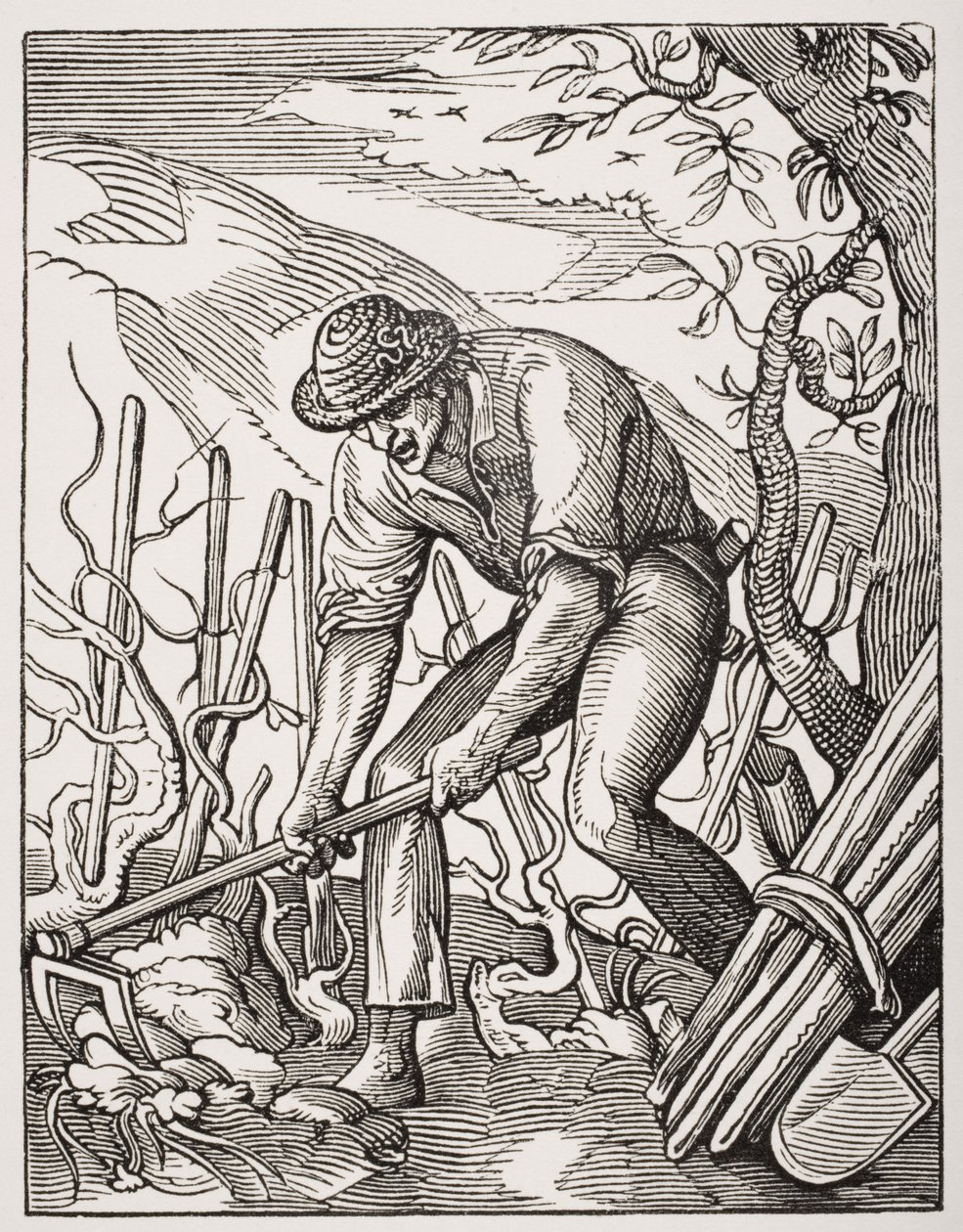 Le vigneron, d