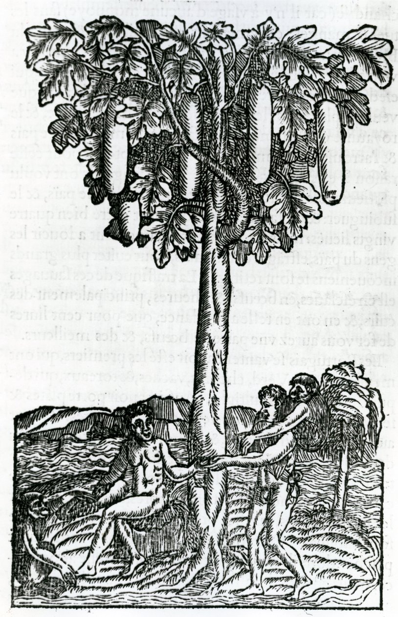 Récolte d
