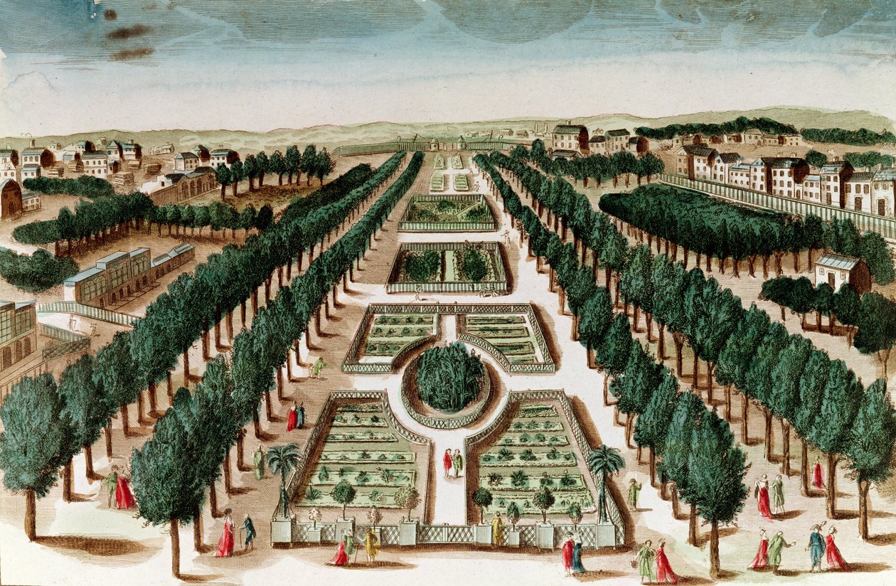Vue du Jardin des Plantes depuis le Cabinet d