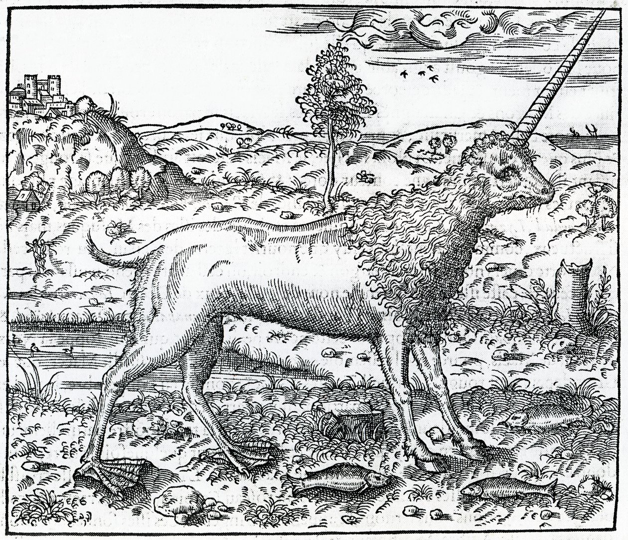 Une licorne de Campchurch, illustration de 