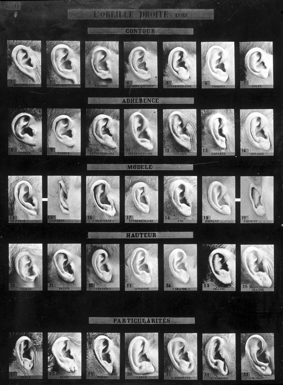 Classification anthropométrique et identification du système Bertillon : comparaison de différents types d