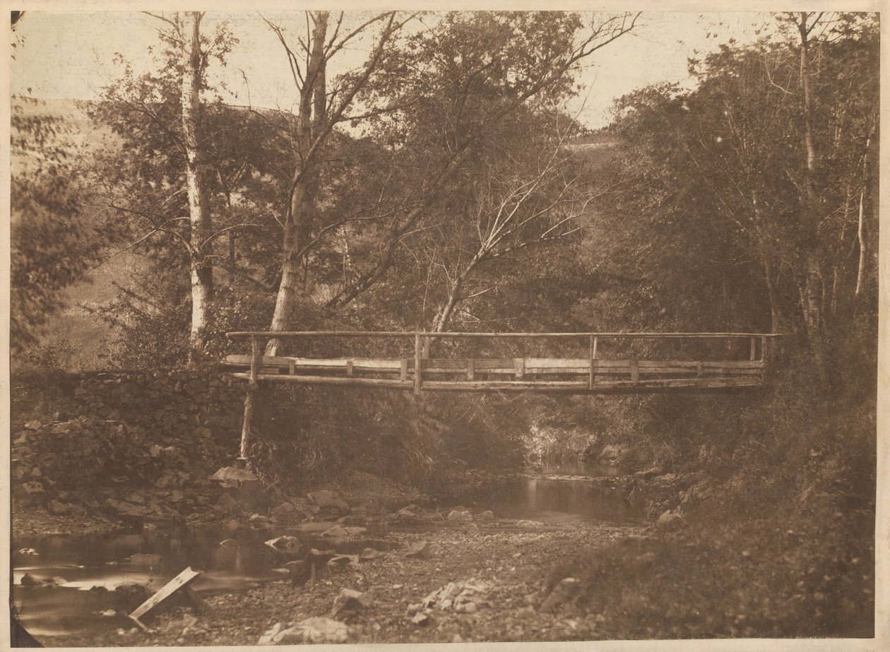 Paysage avec arbres et pont,v. 1850 (photo) - French Photographer