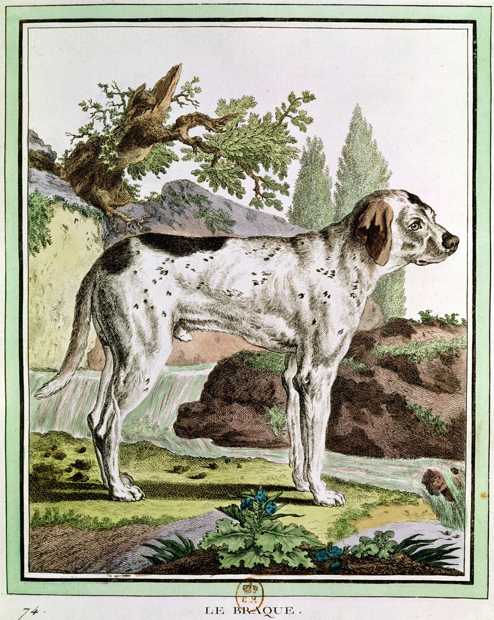 Un pointeur, illustration de l
