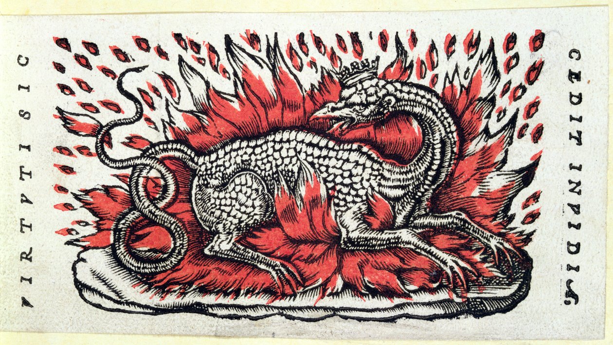 Une salamandre, 1ère moitié du XVIe siècle - French School