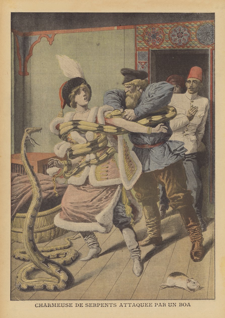 Une charmeuse de serpents attaquée par un boa constrictor à Alexandrie (lithographie couleur) - French School