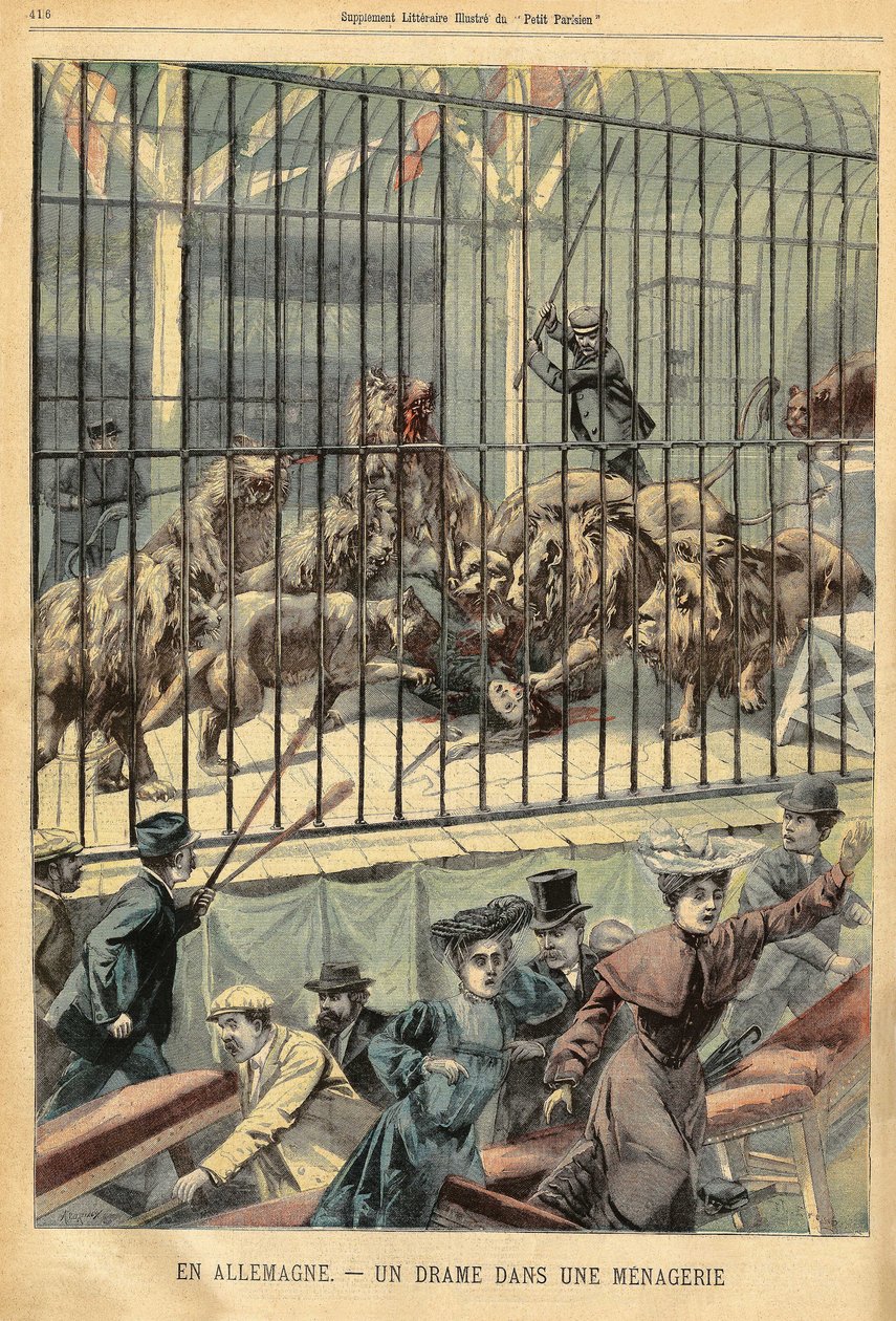 Une dompteuse dévorée par ses lions dans une ménagerie à Dessau, Allemagne. Gravure dans « Le Petit Parisien », le 27/12/1903. - French School