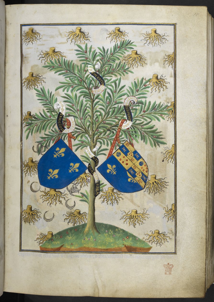 Page armoriale, du Livre d
