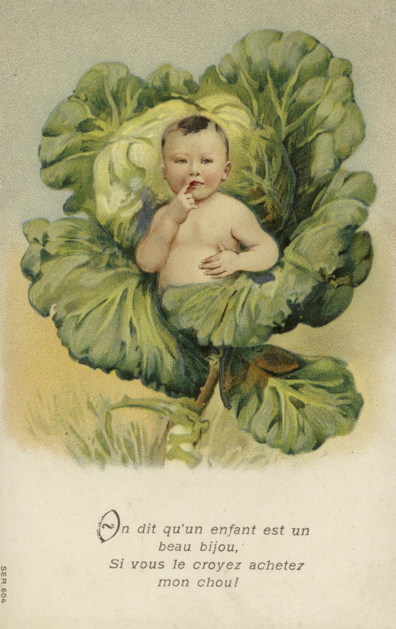 Bébé dans un chou (chromolitho) - French School