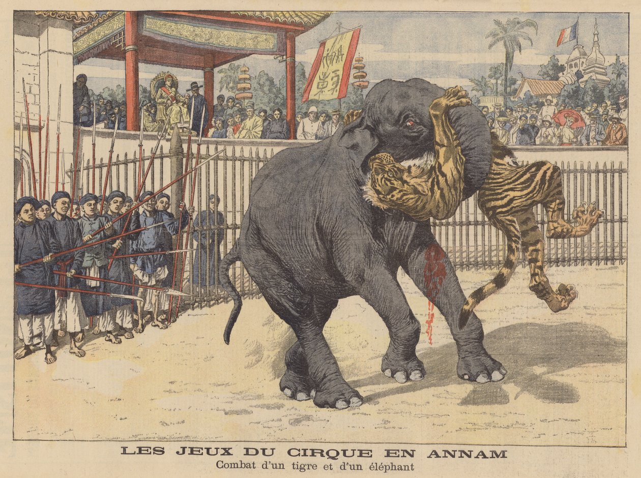 Combat entre un éléphant et un tigre dans un cirque en Annam, Indochine (lithographie couleur) - French School