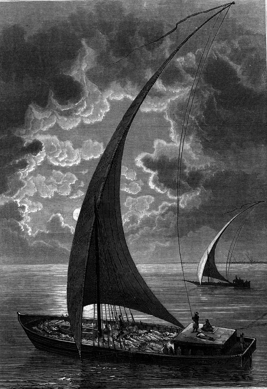Bateau (felouque) sur le Nil, Égypte. Gravure dans « Le Journal de la jeunesse » - French School