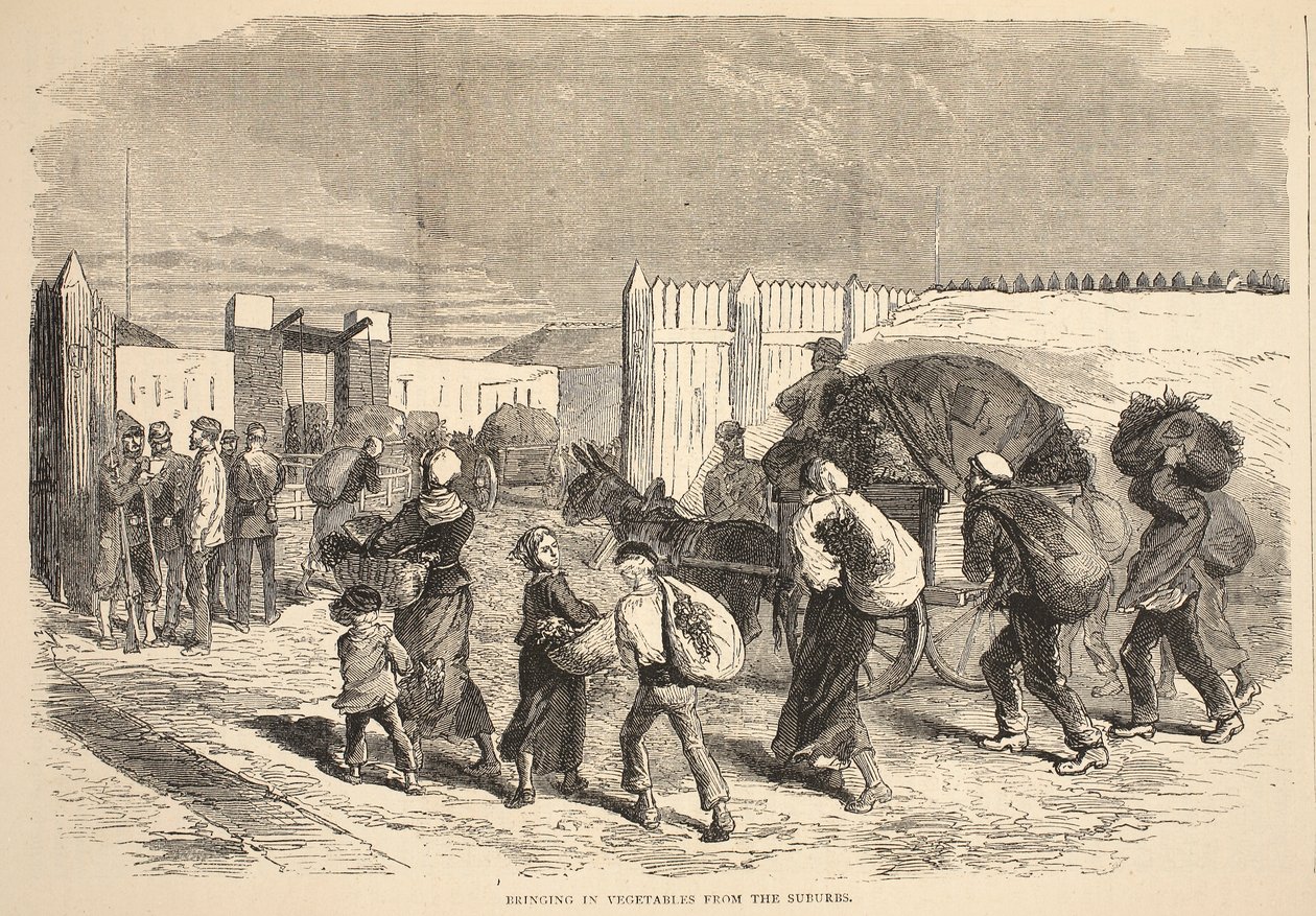Apport de légumes des banlieues, illustration de l