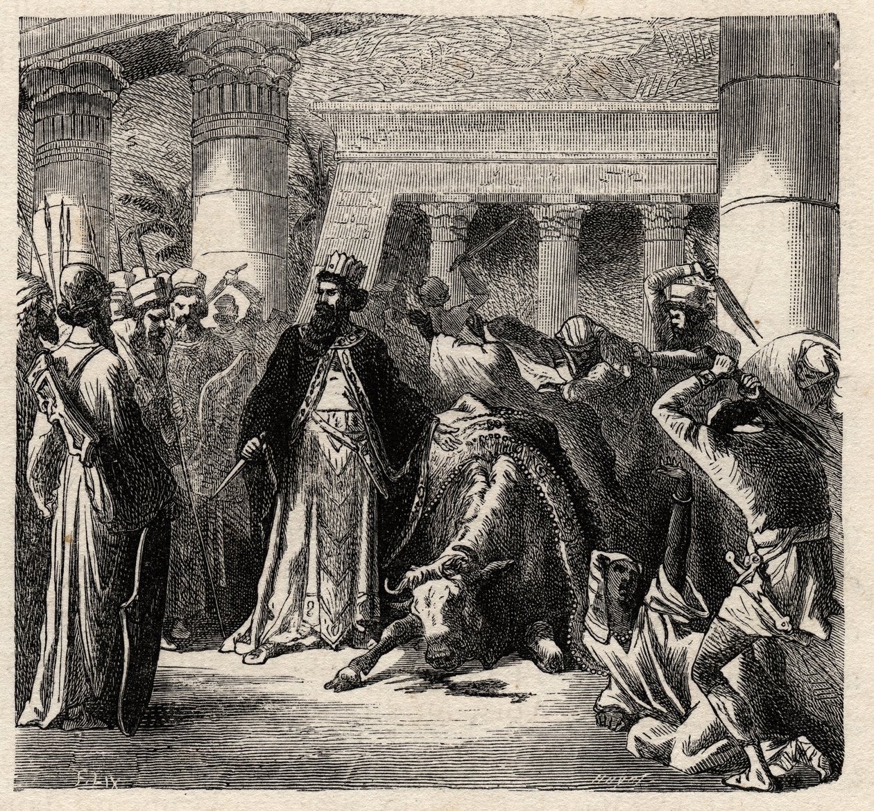 Cambyse II, souverain des Perses achéménides tue l
