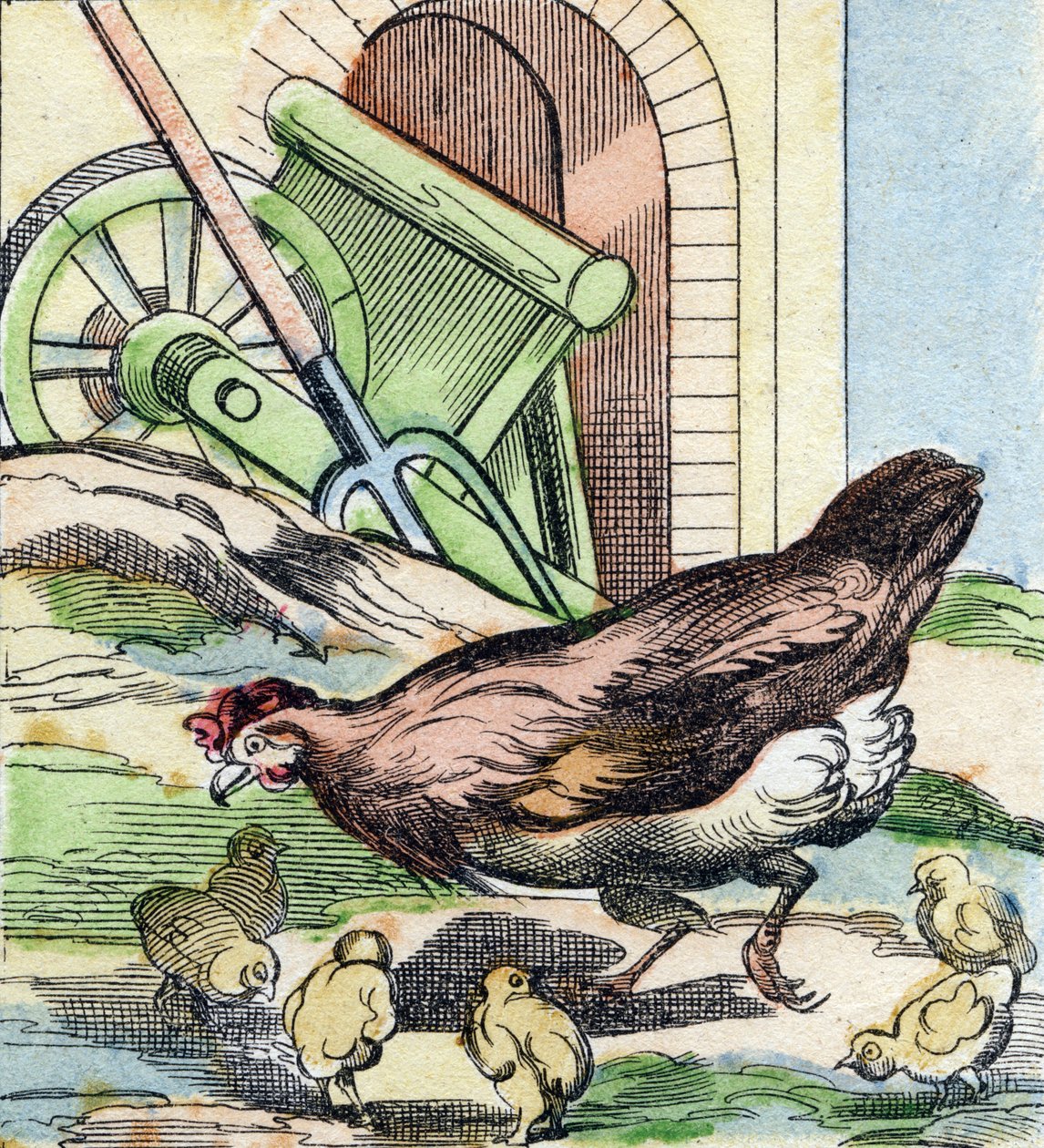 Poulet et poussins. Gravure dans "Buffon Alphabet des Oiseaux n 2". 3e Série N 2. Imagerie d