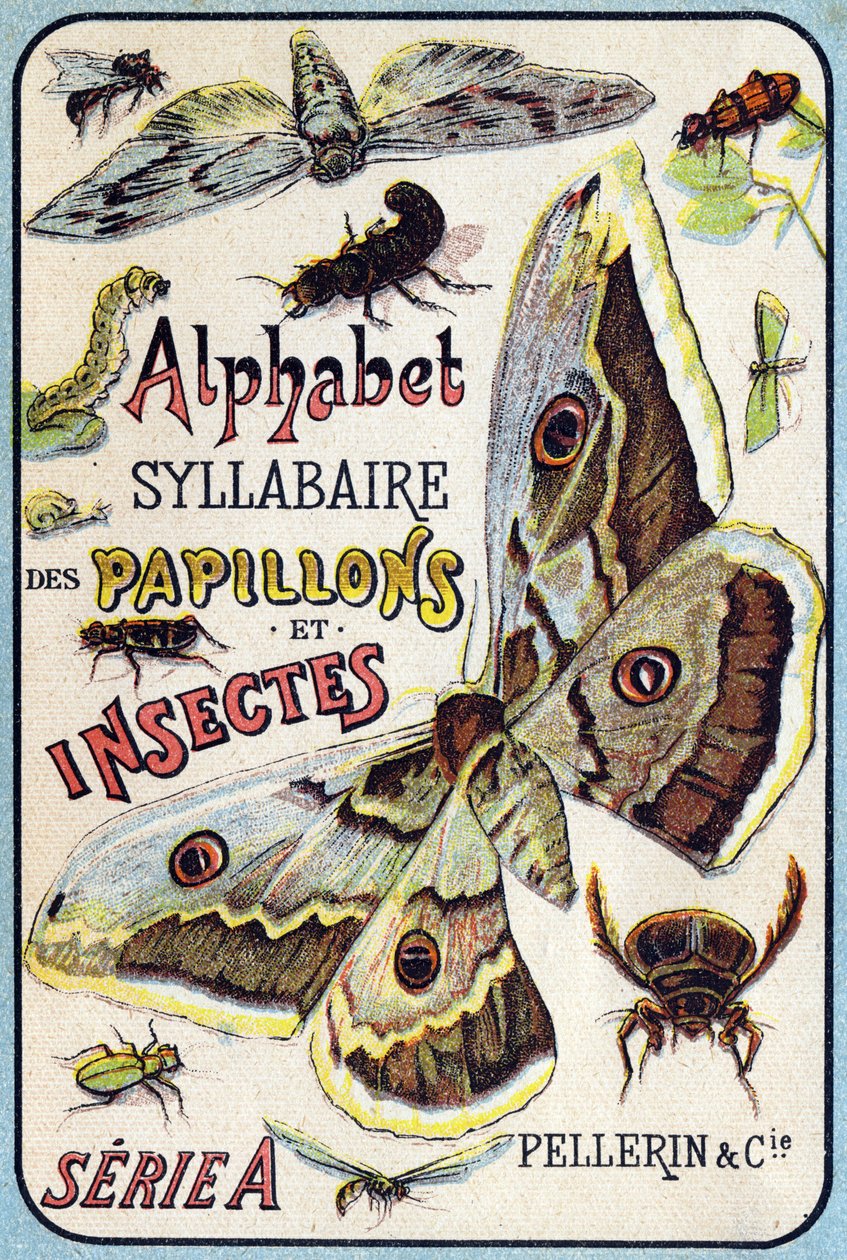 Couverture de "Alphabet syllabaire des papillons et insectes". Série A. Pellerin et Cie, imprimeurs-éditeurs, Épinal, fin 19e siècle. - French School