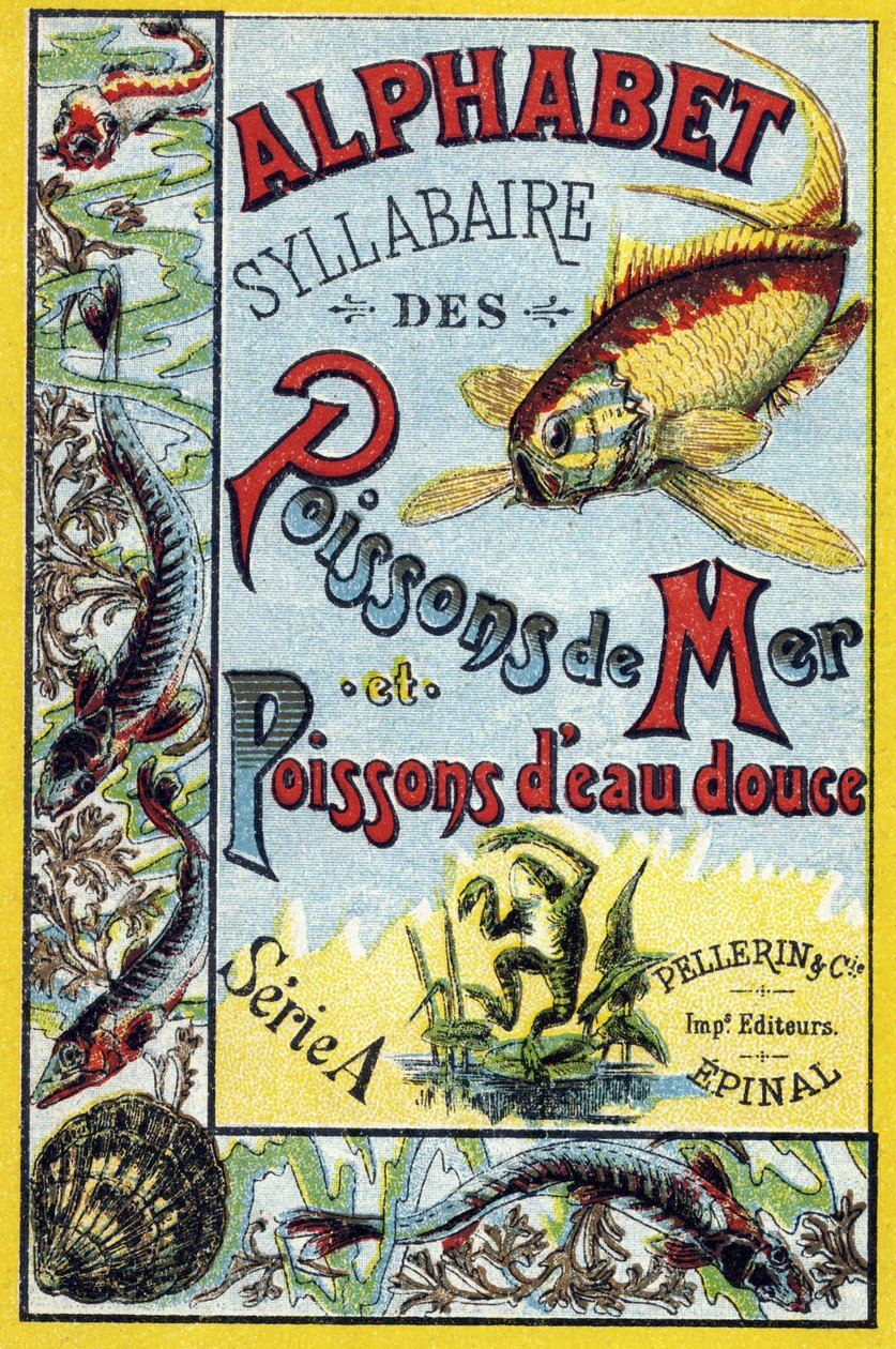 Couverture de "Syllabaire alphabet des poissons de mer et d