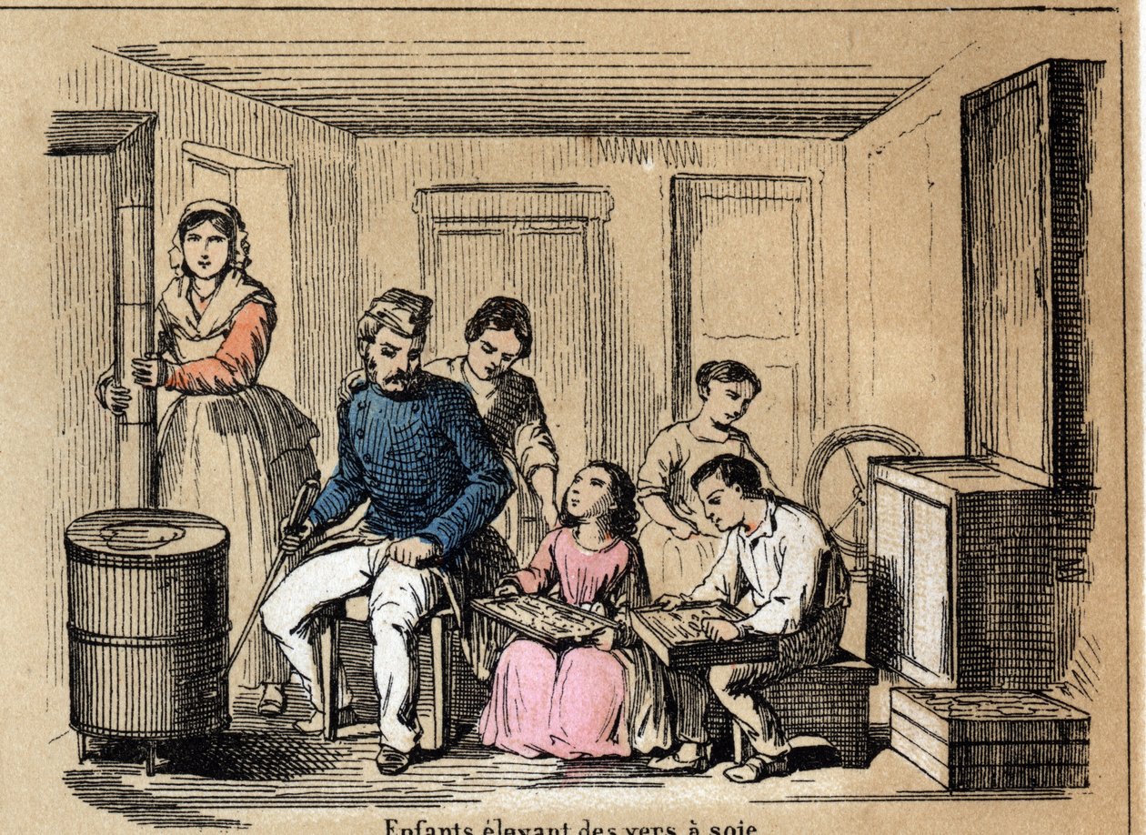Description de la culture et des produits de la soie : des enfants élevant des vers à soie. Planche "La soie" dans "Les Récréations instructives" peinture synoptique de Jules Delbruck, gravure de 1860. Collection privée. - French School