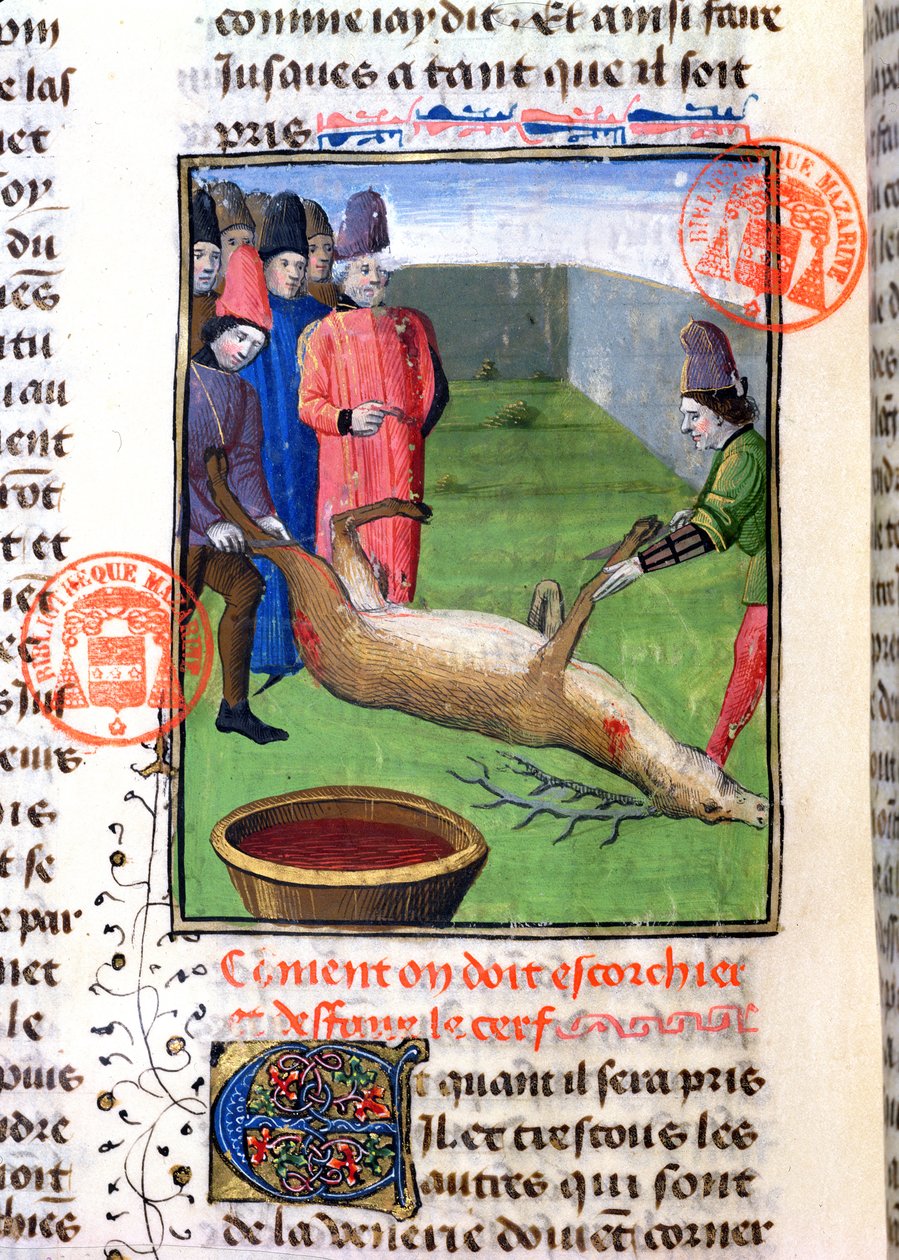 Découpe des pattes d