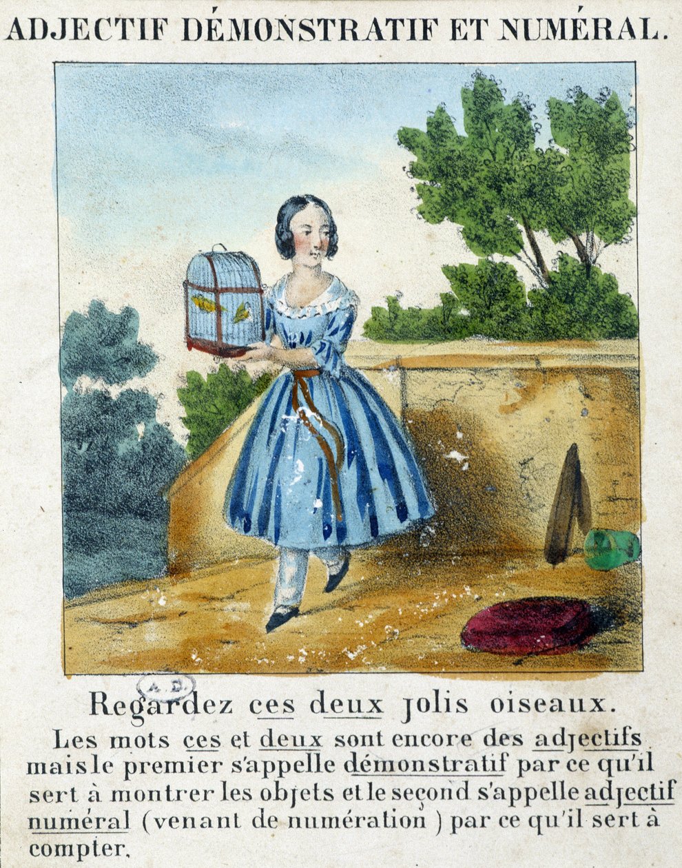 Adjectif démonstratif et numérique (une fille portant une cage avec 2 oiseaux) - dans "La grammaire en images" - French School