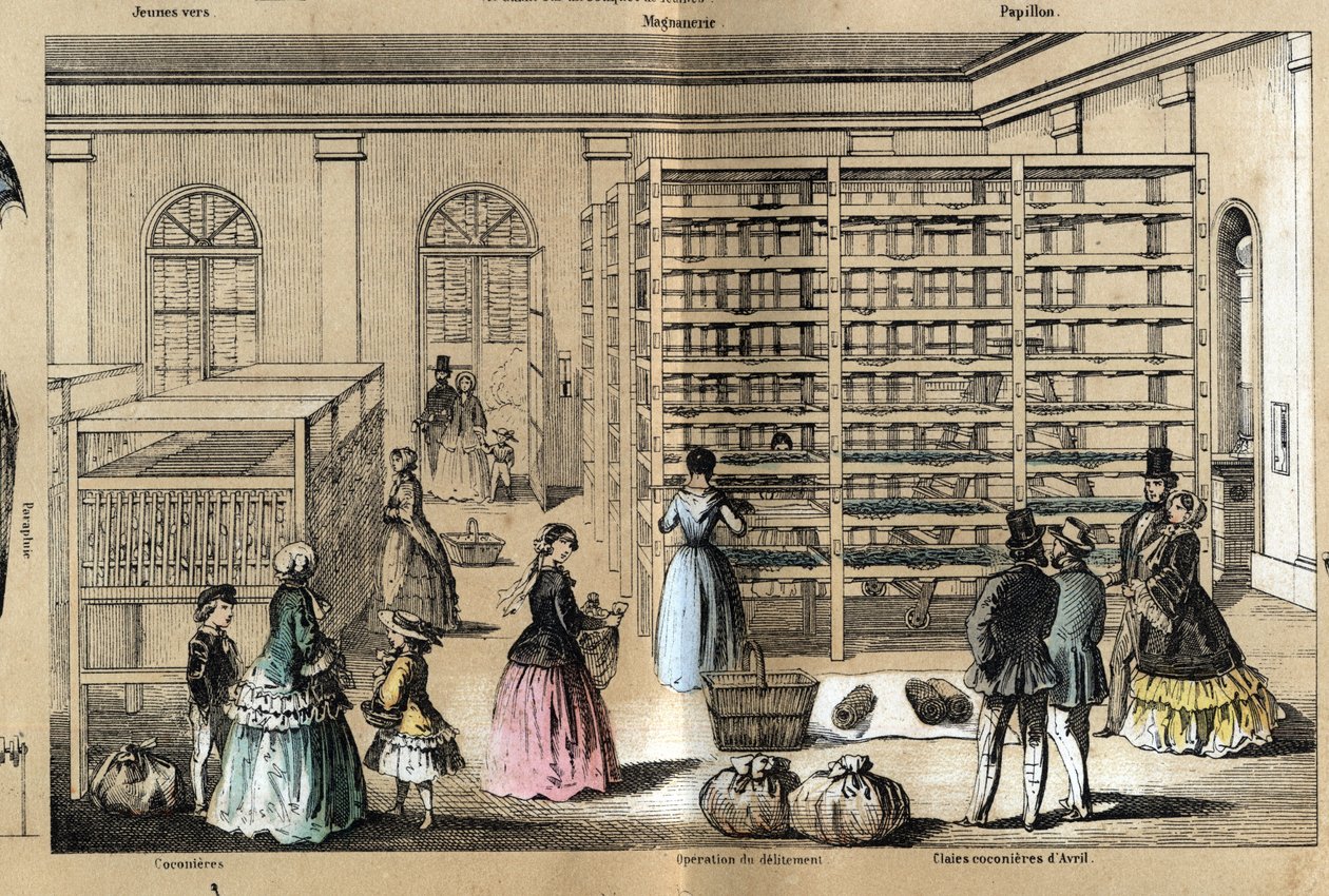 La culture et les produits de la soie : au centre la magnanerie avec les différentes étapes de la sériciculture. Planche « la soie » dans « les Récréations instructives » - French School
