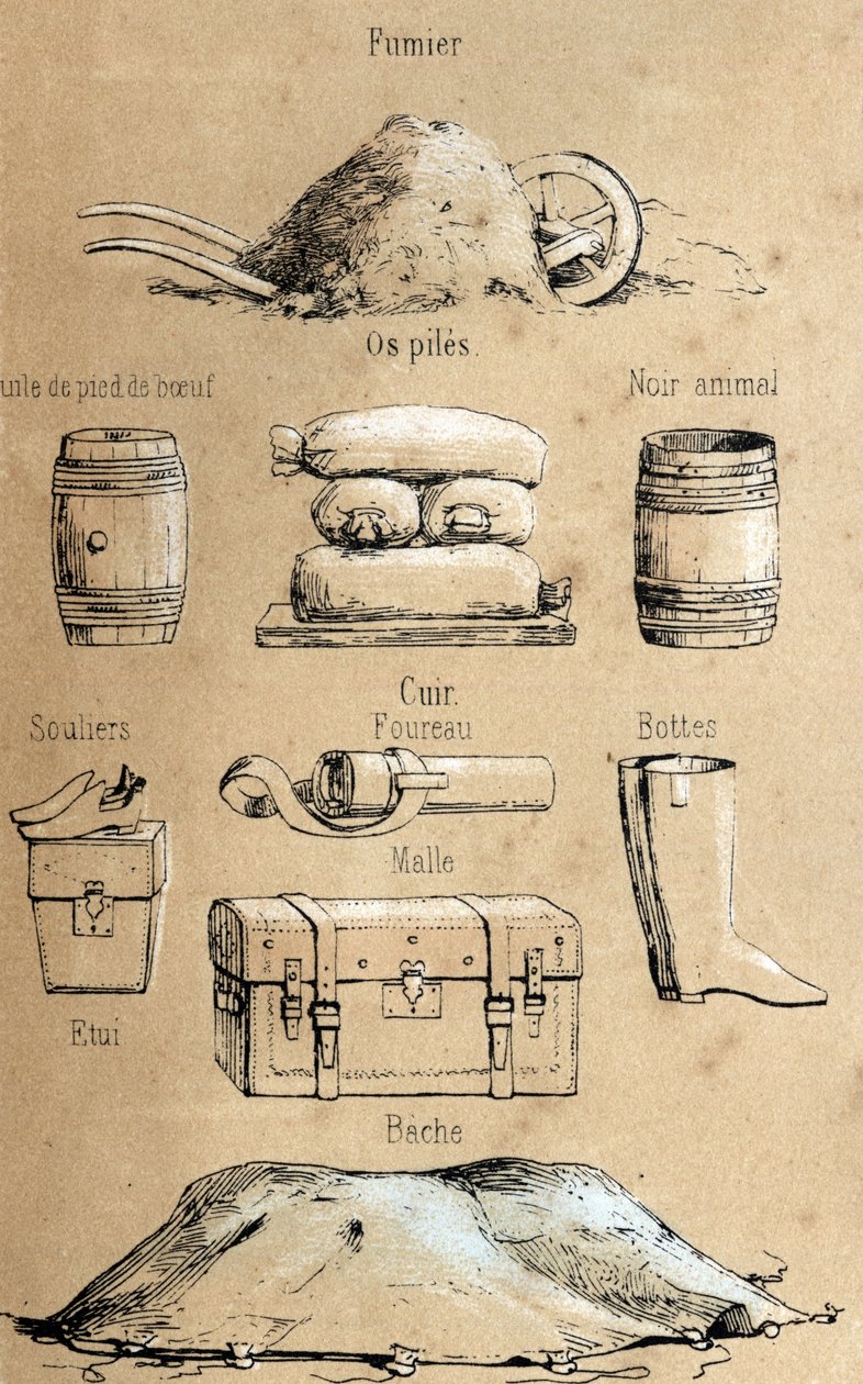 Description des divers produits et usages de la vache : huile de pied de bœuf, objets en cuir, fumier. Planche "La vache et ses produits" dans "Les Récréations instructives" par Jules Delbruck - French School