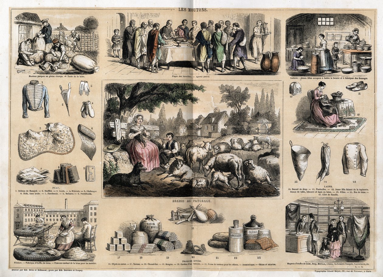 Description des divers usages et produits des moutons : tonte des moutons, agneau pascal servi comme plat traditionnel à Pâques, jeunes laitières fabriquant du beurre et des fromages ; produits en tapisserie et laine, tasses, pantoufles, bas en laine, vend - French School