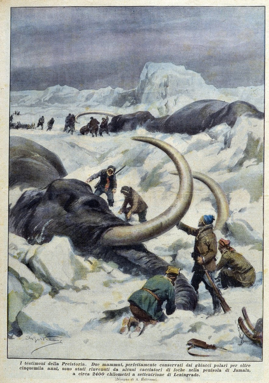 Découverte de mammouths préhistoriques pris dans la glace polaire, début 20ème siècle - French School