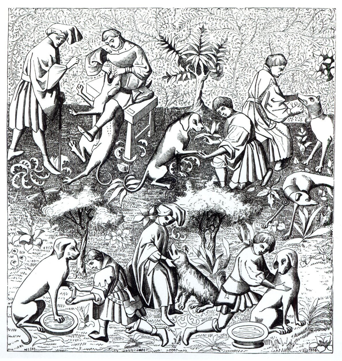 Maladies des chiens et leur guérison, d