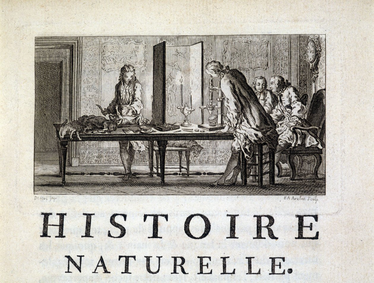 Dissection des animaux - dans "Histoire naturelle, générale et particulière" par Buffon - French School