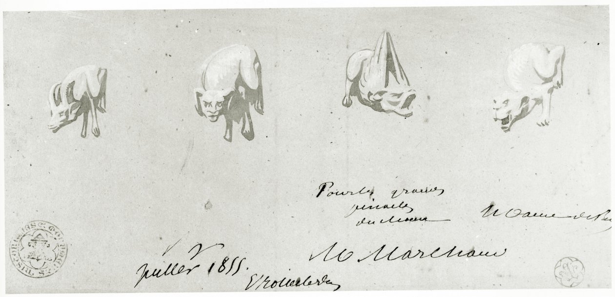 Dessin pour la restauration des gargouilles de Notre-Dame, 1855 - French School