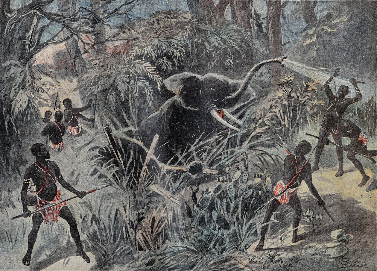 Chasse à l
