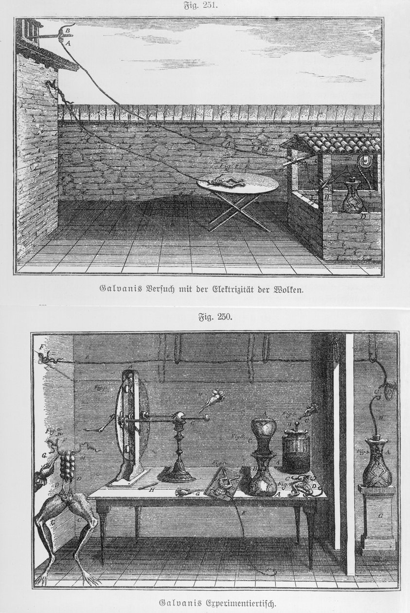 Expérience sur des grenouilles par Louis Galvani (1737-98) fin du 18e siècle - French School