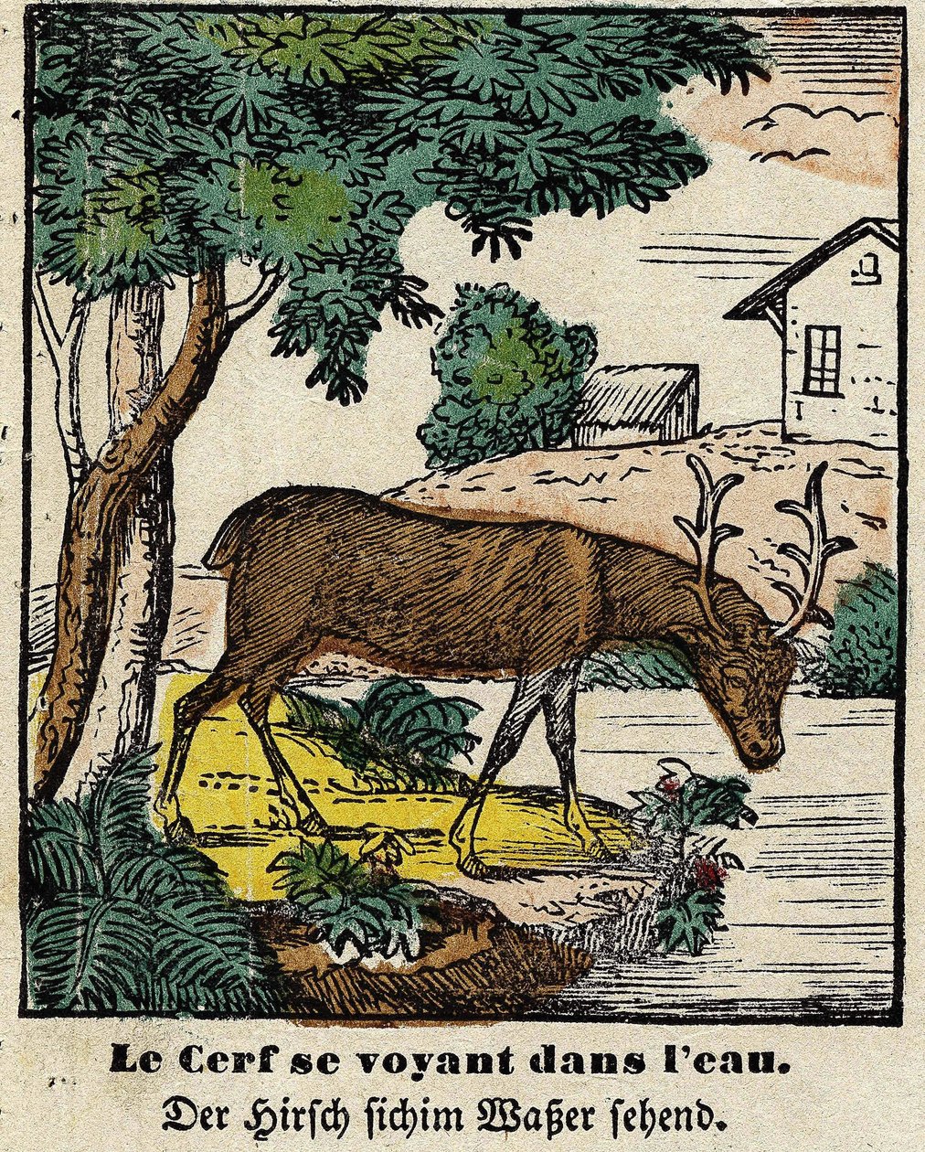 Fables de La Fontaine : le cerf se voyant dans l