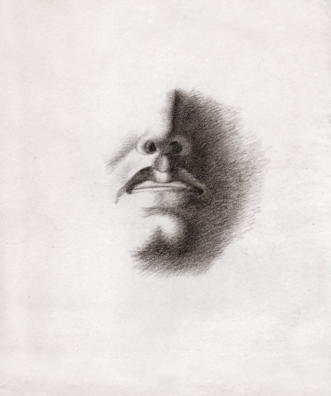 Visage d