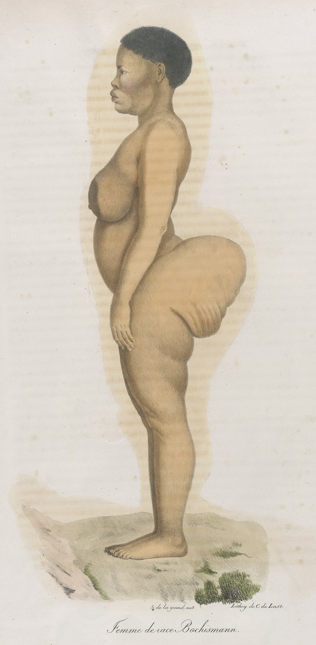 Femme de race Bochismann. Cette planche est apparemment une image de Sara (Saartjie) Baartman (1789-1815) qui était une Khoisan amenée d