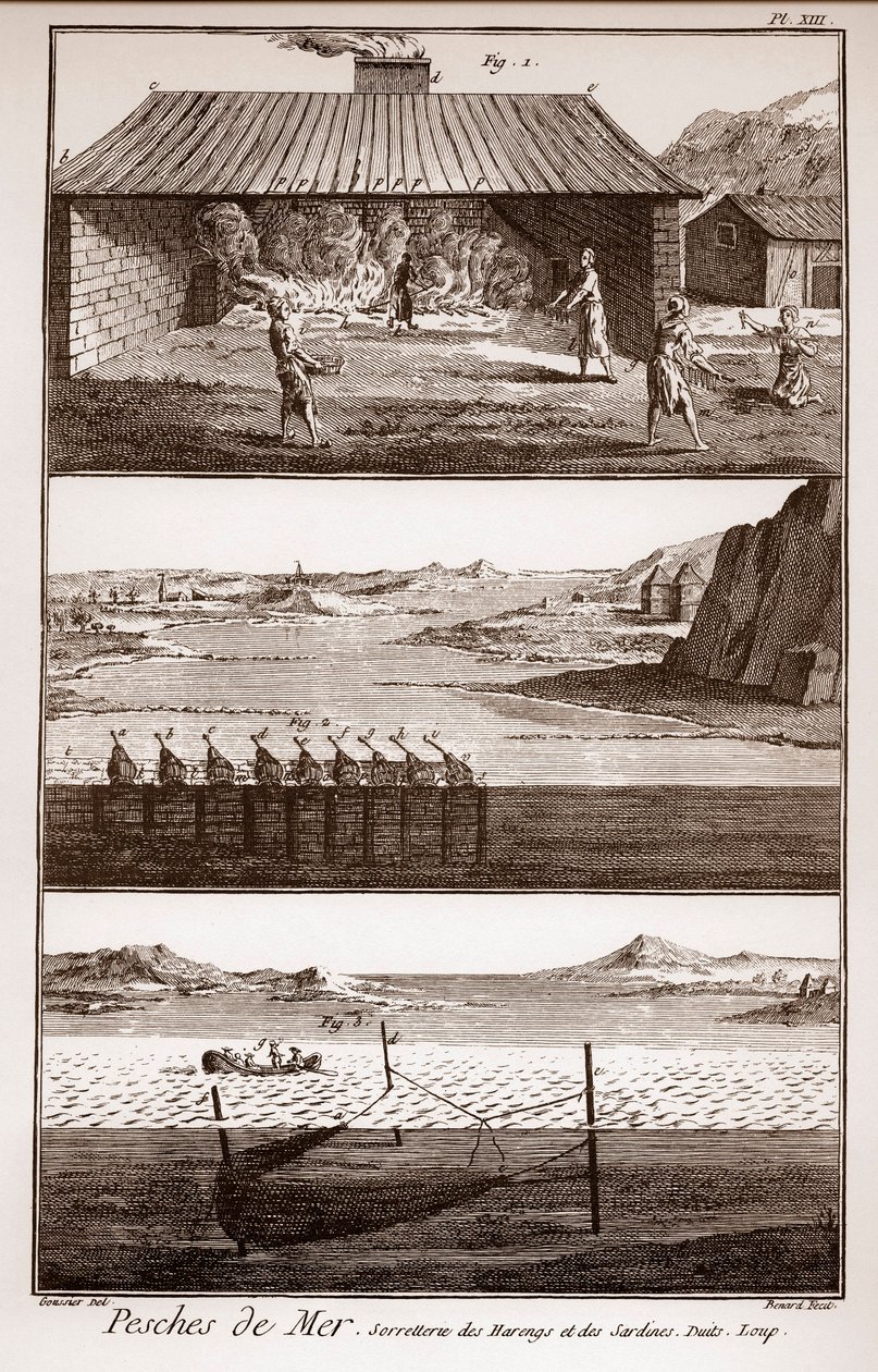 Pêche, harengs et sardines - « La Grande Encyclopédie, ou Dictionnaire Raisonné des Sciences, des Arts et des Métiers » par Denis Diderot - French School
