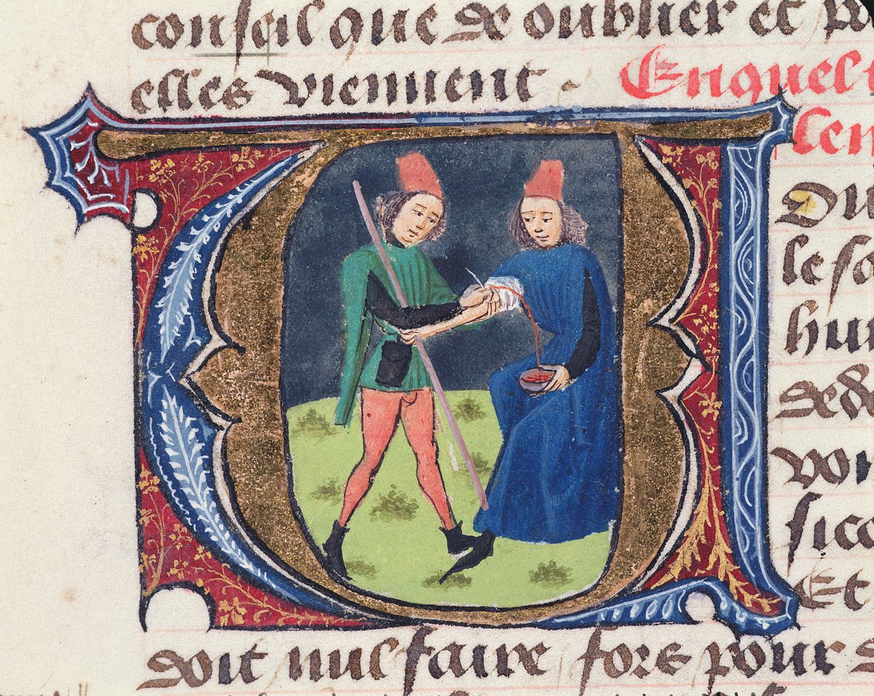 Fol.19r Saignée, du Traité de Médecine par Aldebrande de Florence, 1356 - French School