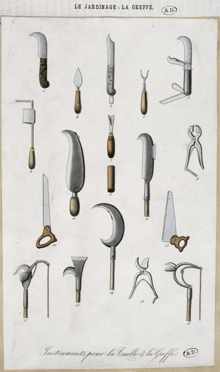 Outils de jardinage pour greffer et tailler - French School
