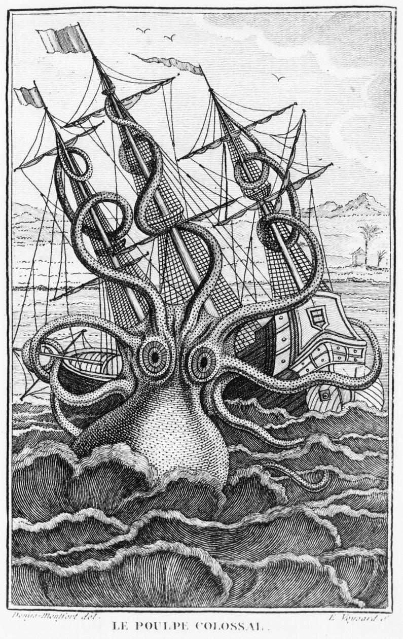 Poulpe géant, illustration de L