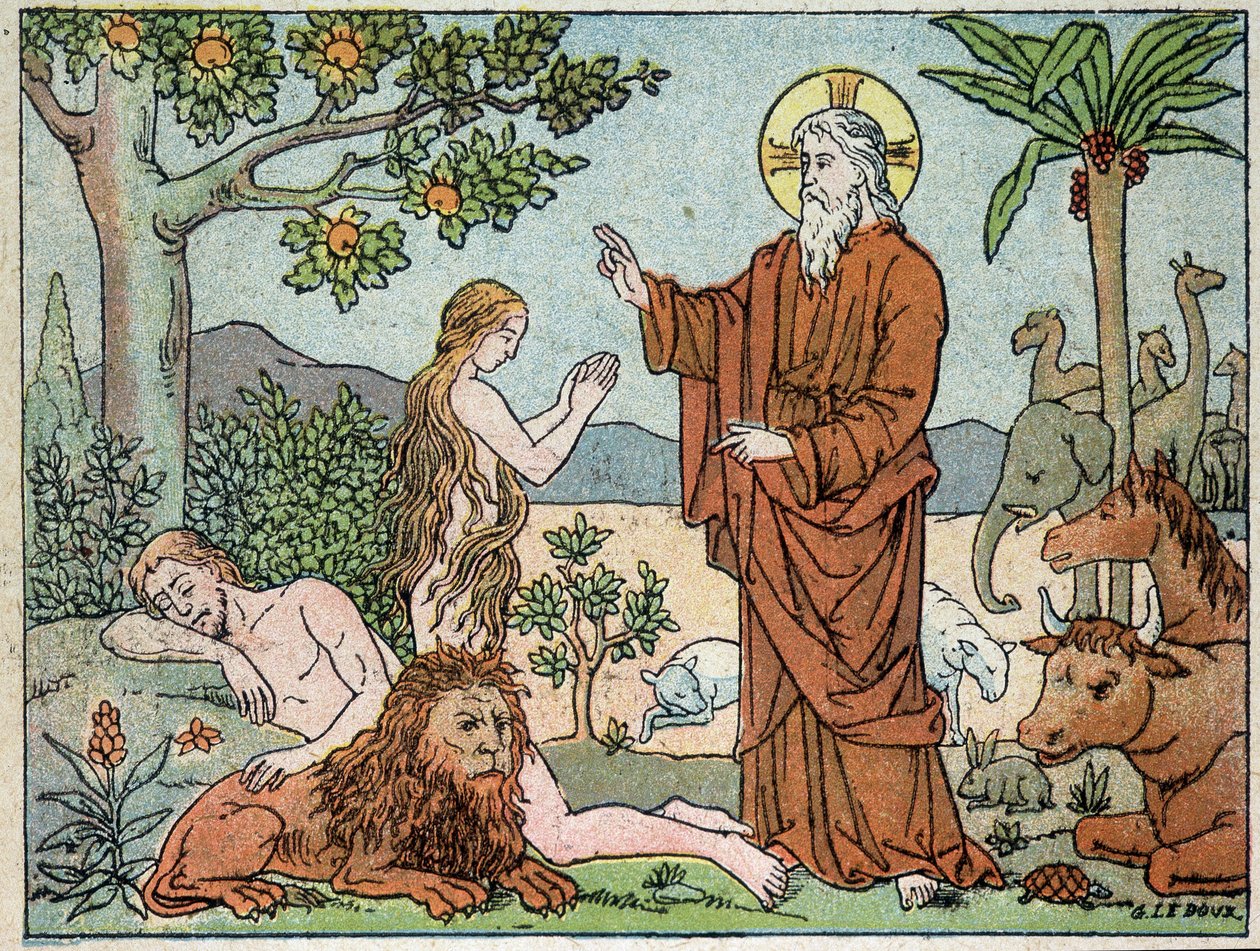 Dieu : 6e jour de la création - dans « Sainte Histoire en 120 images », éd. Maison de la Bonne Presse, Paris - French School