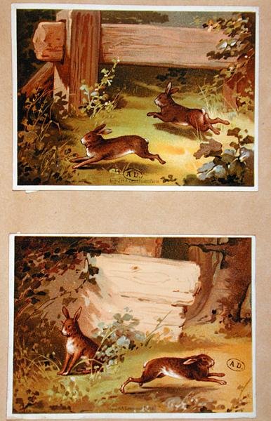 Lièvres et lapins, c.1890 - French School