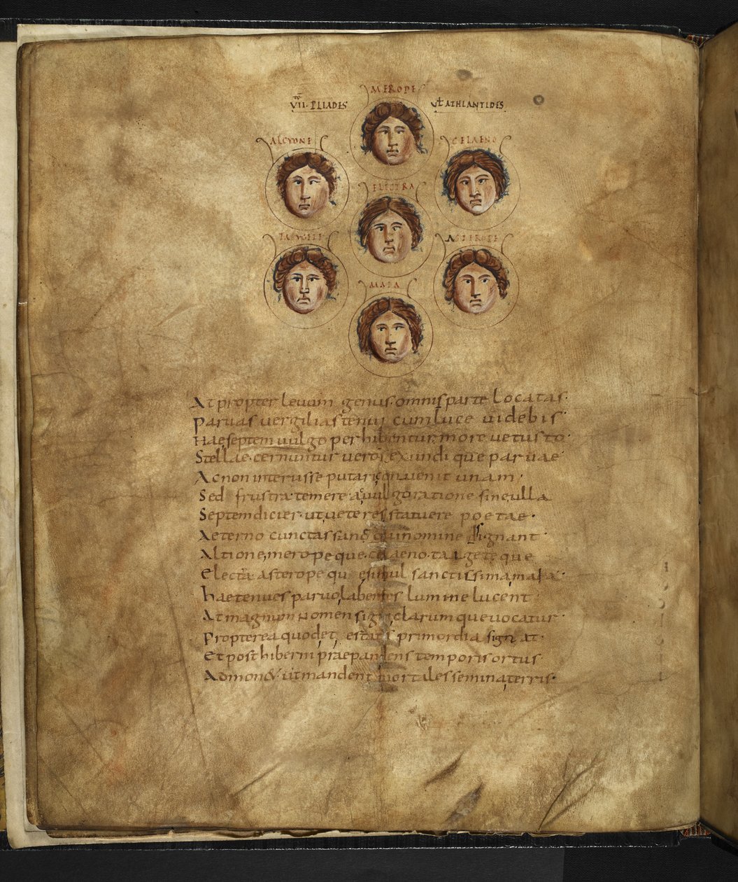 Illustration des visages des Pléiades, sept sœurs qui vivaient dans les cieux comme des étoiles, avec leurs noms inscrits autour d