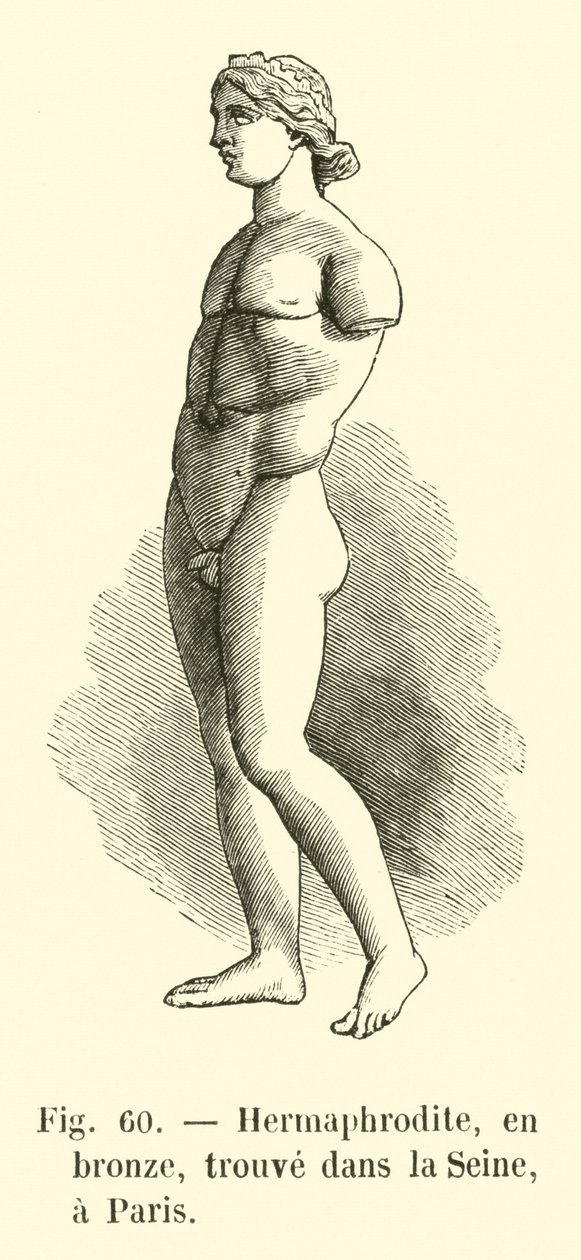 Hermaphrodite, en bronze, trouve dans la Seine, a Paris (engraving) - French School