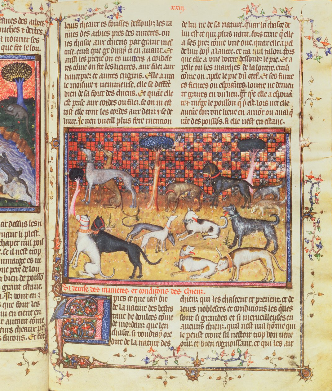 Chiens de chasse par Gaston III, Comte de Foix Phebus le Chasseur (1331-91), du Livre de la Chasse, 1387-89 - French School