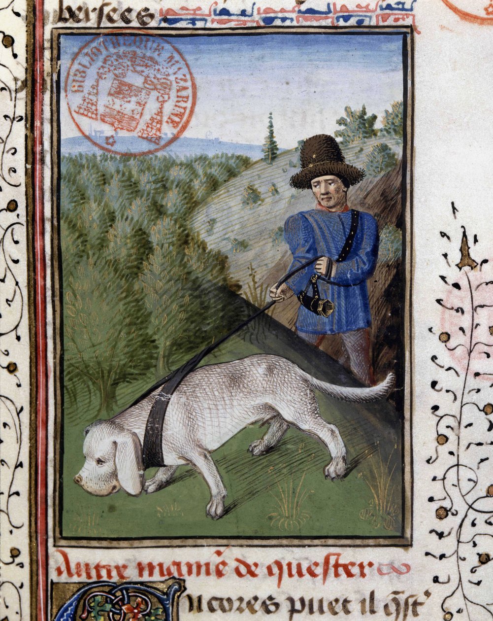 Chien de chasse tenu en laisse - dans « Livre de chasse de Gaston Phébus, comte de Foix, seigneur de Béarn » - French School