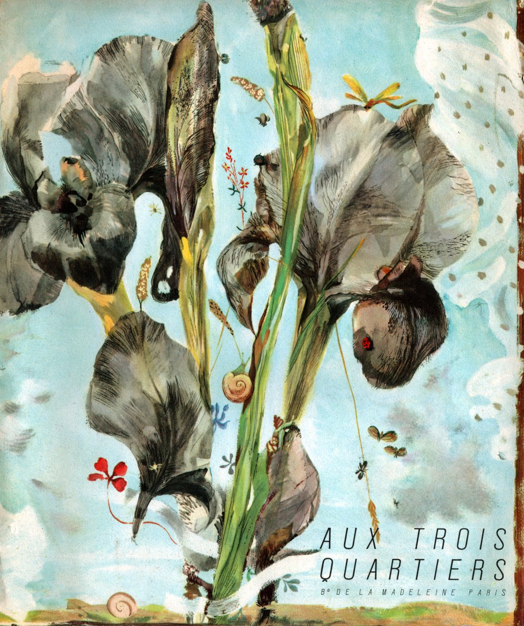 Iris (fleur). (Illustration, vers 1920) - French School