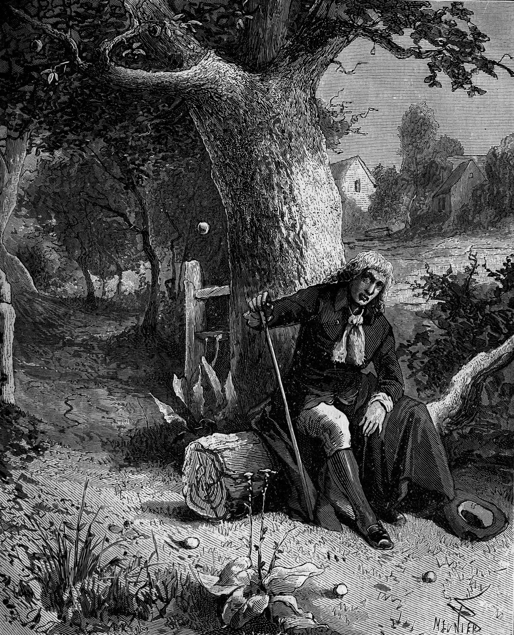Isaac Newton (1642-1727), mathématicien et astronome anglais, découvrant la notion de gravité terrestre par une pomme tombant d