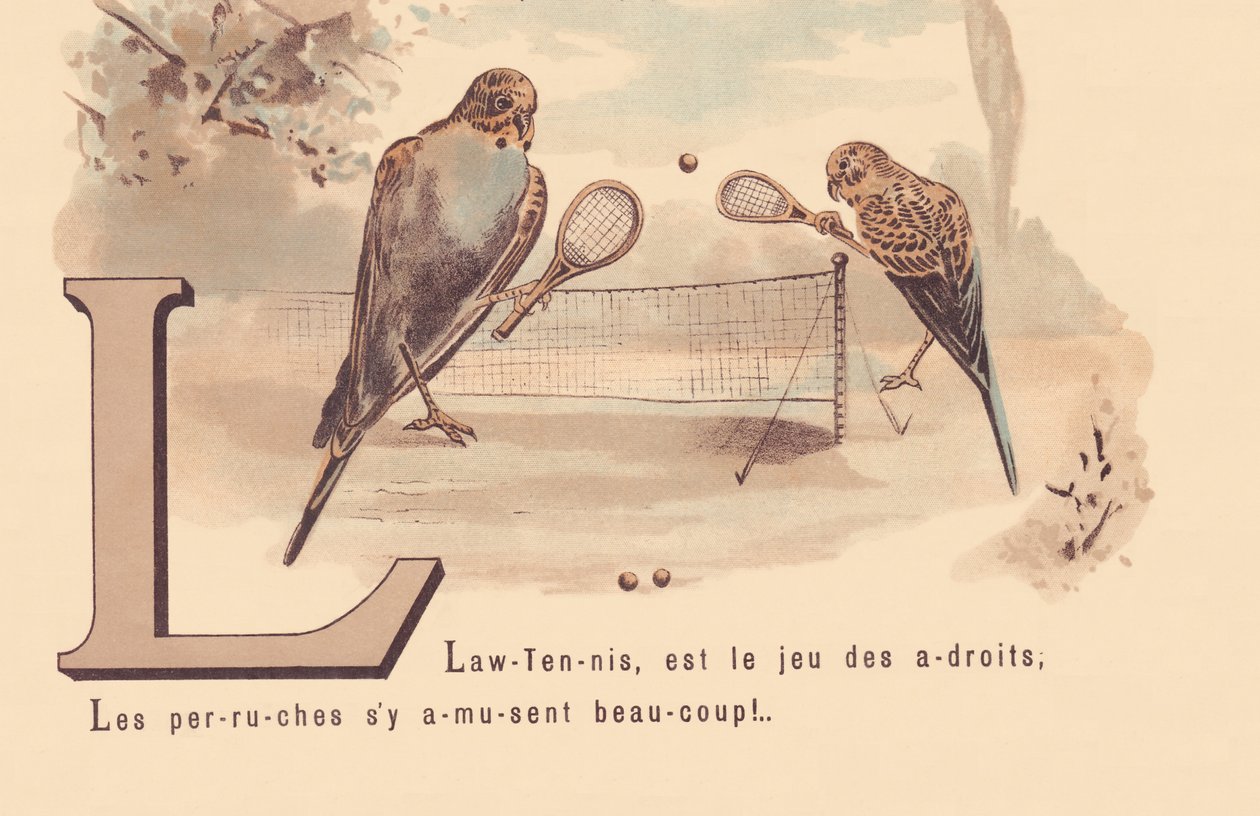 L : Lawn-Tennis, est le jeu des habiles ; les perruches s