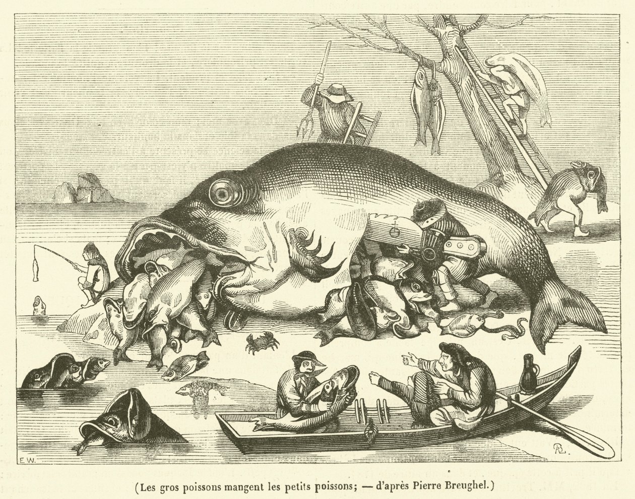 Les gros poissons mangent les petits poissons (engraving) - French School